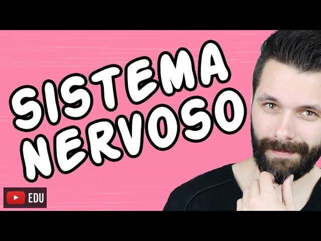 SISTEMA NERVOSO - FISIOLOGIA - Aula | Biologia com Samuel Cunha