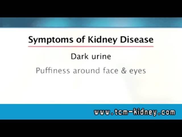 Kidney Symptoms, how to cure symptoms, do you know - www.tcm-kidney.com