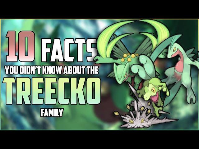 10 FACTS You DIDN'T KNOW About The TREECKO Family!