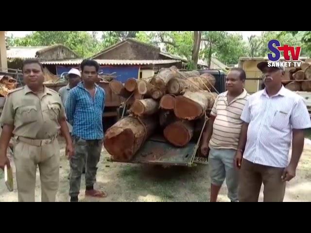 Large Quantity of sal wood seized in Nilagiri | Sanket Tv