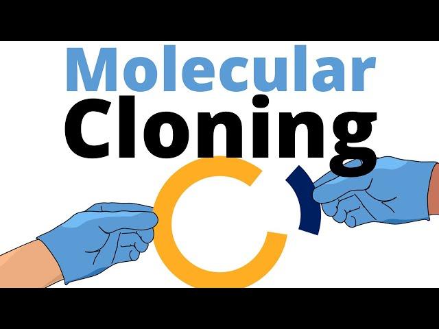 Molecular Cloning explained for Beginners