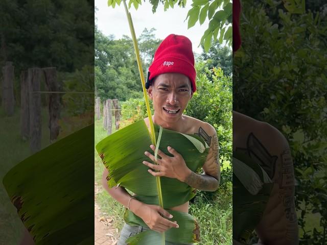 บ่าวอามโดนเกย์555