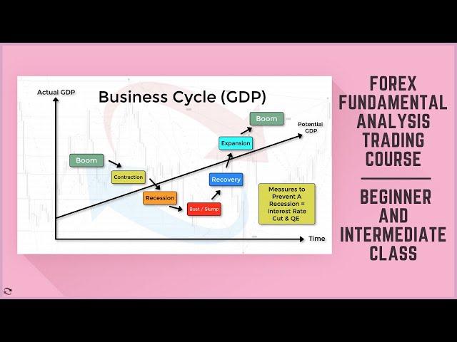 Forex Fundamental Analysis Trading Course - Beginner and Intermediate Traders