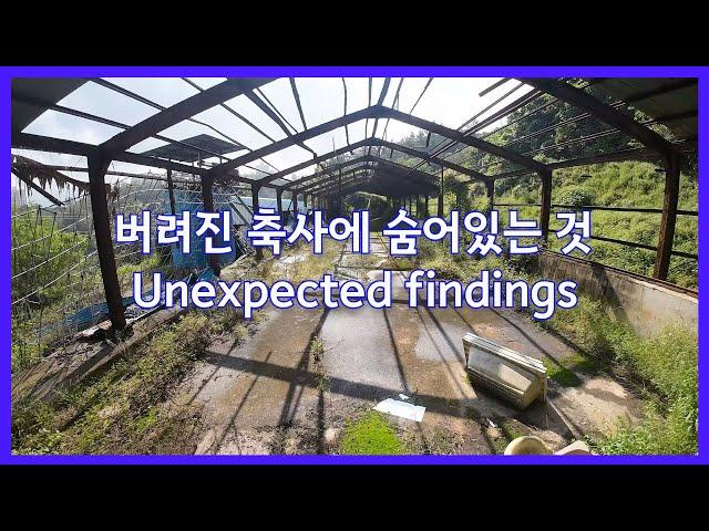 드론탐험:폐축사에서 발견된 예상치 못한 것들