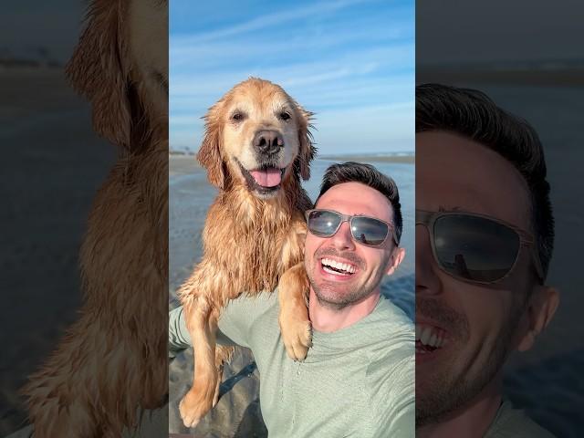 This might be the best dog selfie ever!