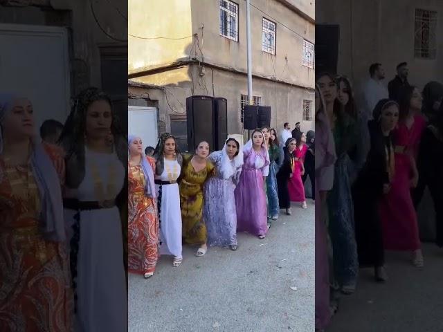 Kurdish Dance Kurdish Culture Kurdish Folklore #shorts #shortvideo #youtubeshorts #trending