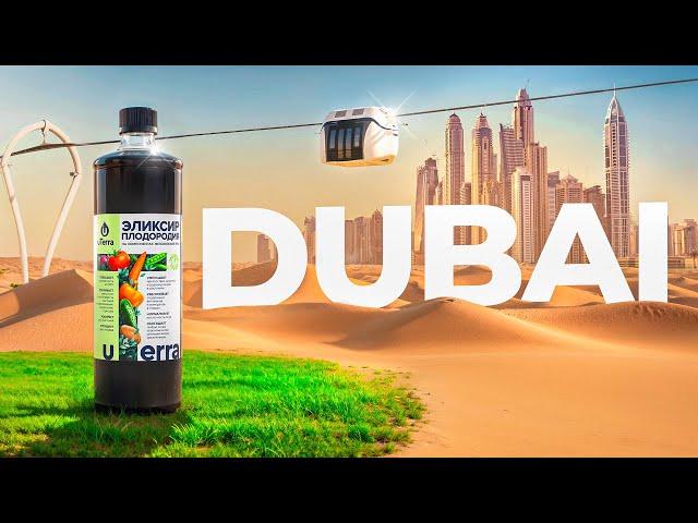 Wird Dubai grün sein? Die neue Transportart| SWC Community