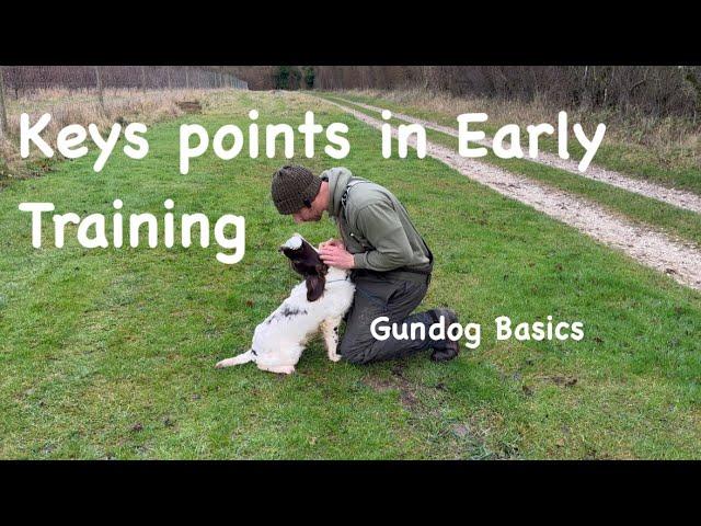 Mastering Retrieve body positioning "Gundog basics series"