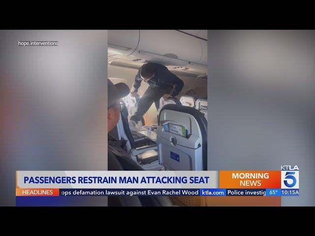 United Airlines passenger restrained after attacking own seat