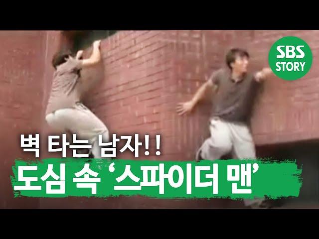 The man on the wall! Downtown 'Spider-Man'| Capture the World ㅣSBS Story