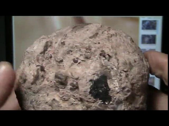 Mudfossil U part 10.. Geodes