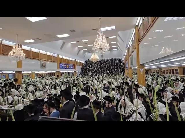 Hoshana Rabbah 2024 With Satmar Rebbe R’ Zalmen Leib