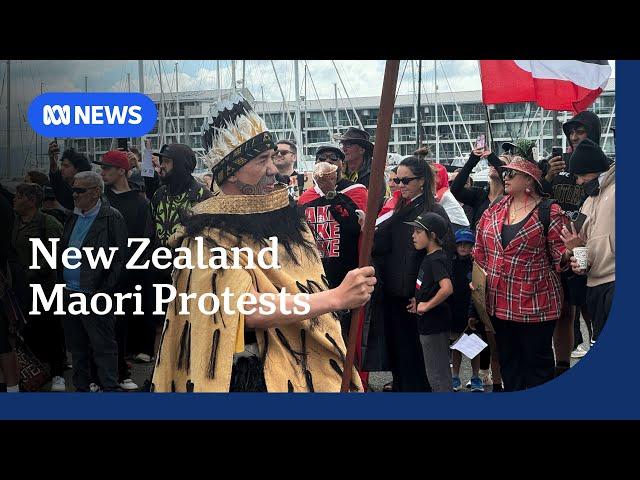 Maori protest descends on NZ parliament over treaty debate | ABC NEWS