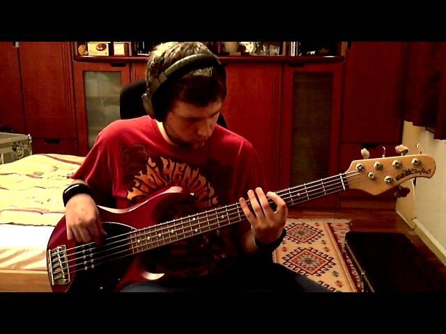 Red Hot Chili Peppers - The Righteous & The Wicked #bass cover