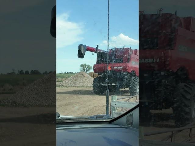 Moving the combine   4K #caseihagriculture #6140combine #farming
