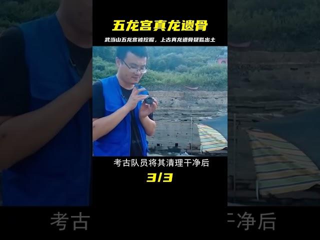 武當山五龍宮被挖掘，疑似出土上古真龍遺骨，龍真的存在嗎？ #法拉歷史 #法拉 #歷史 #古墓 #神仙