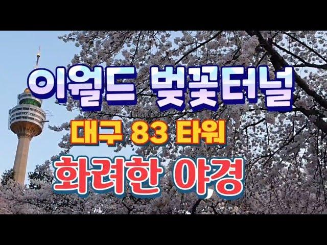 이월드 벚꽃축제(대구 우방랜드)이렇게 멋진 벚꽃터널 보셨나요?