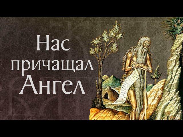 Житие святого Онуфрия Великого († IV). Память 25 июня