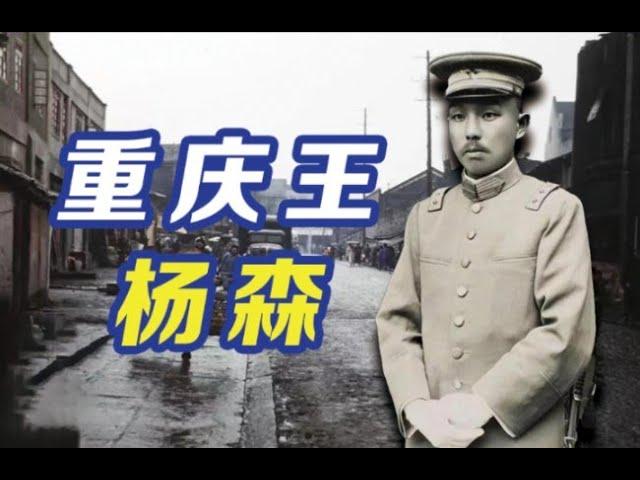 最妻妾成群的四川军阀：“重庆王”杨森【民国小史47】