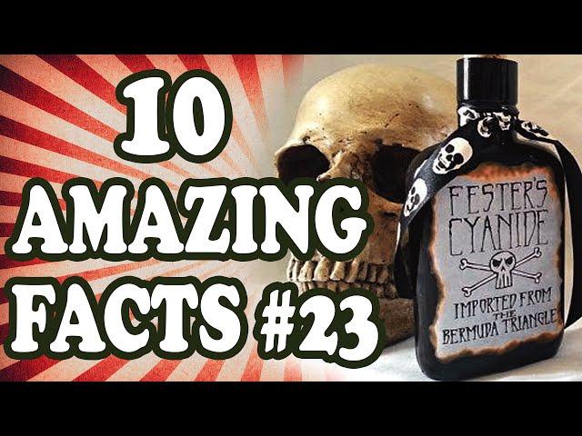 10 Amazing Facts #23