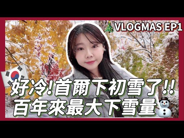 首爾VLOGMAS EP1｜首爾下初雪啦️帶台灣家人玩韓國、聖水餐廳推薦！韓國一人烤肉！韓國醫美推薦｜台灣人在韓國 #韓國旅遊 #韓國vlog ｜紹紹 Soy Daily