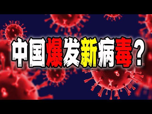 中國再爆病毒感染，不治概率高達43%？人偏肺到底是什麼情況？（2024-12-27第2379期）