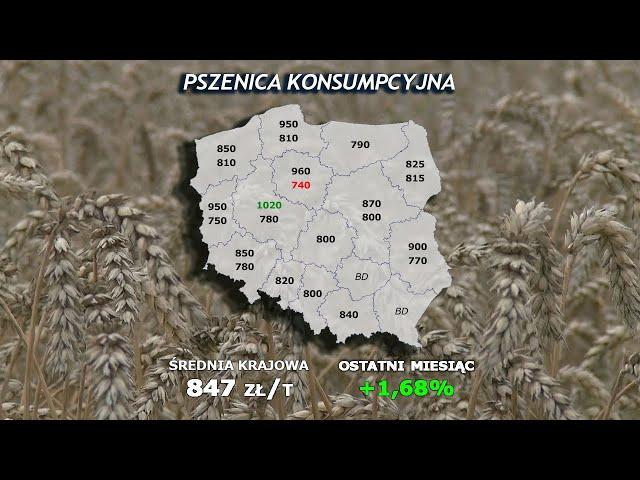 #268 agro wiadomości nonstop - 01.10.2024