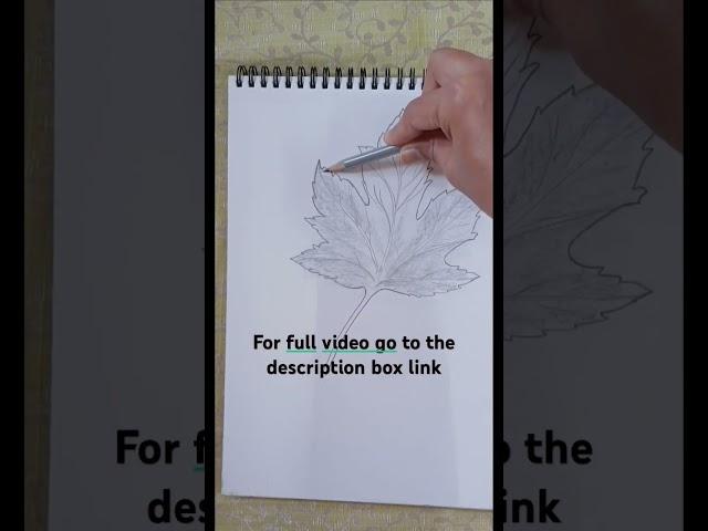 leaf drawing #depth #shading #pencil drawing# ytshort# viral