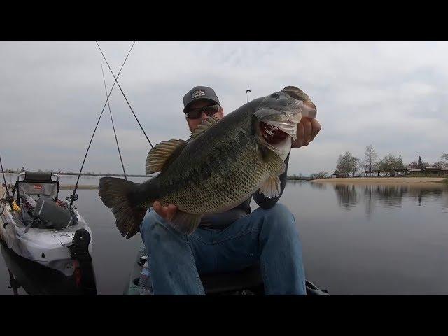 TOP 3 GIANT BASS CAUGHT ON CAMERA(compilation)