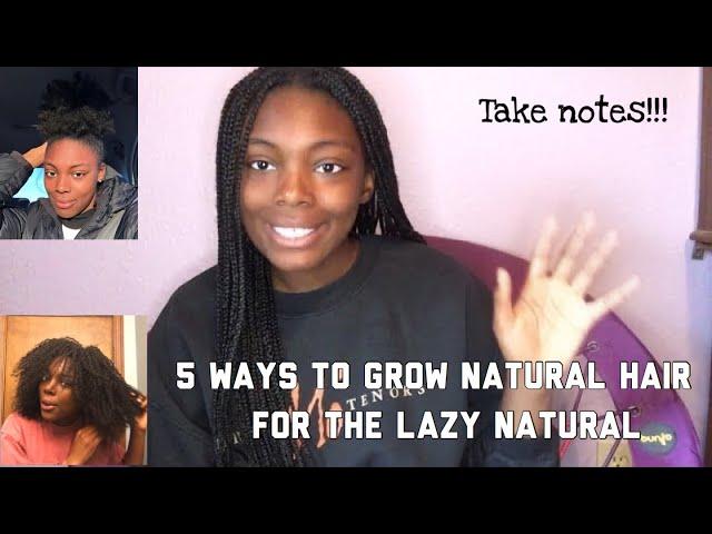 Grow Long healthy natural hair + pros and cons of mini braids vs mini twist