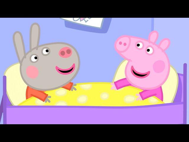 Delphine Donkey Comes to Visit  | Peppa Pig Official Full Episodes