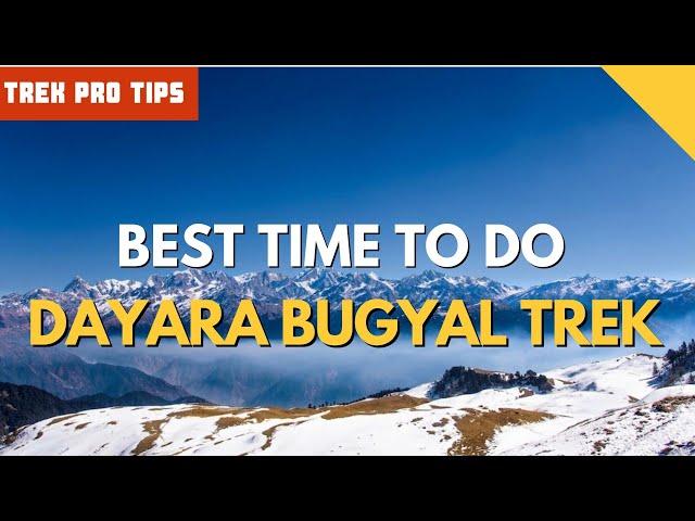 What Is The Best Time To Do The Dayara Bugyal Trek | Trek Pro Tips With Neha