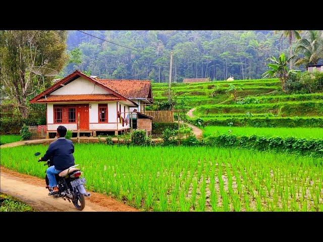 Bagai Serpihan Surga,Lestari Alamku Lestari Desaku Suasananya Bikin Lupa Pulang, Pedesaan Jawa Barat