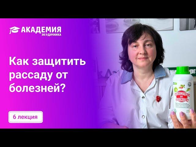 Как защитить рассаду от болезней