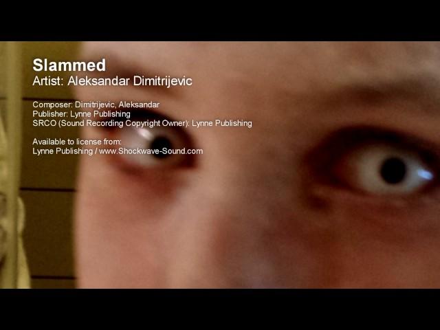 Slammed - Aleksandar Dimitrijevic (Lynne Publishing)