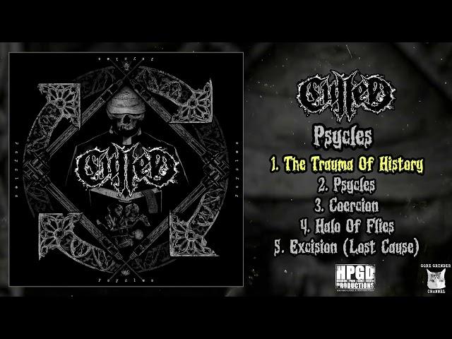 Culled - Psycles 12" FULL ALBUM (2024 - Grindcore / Sludge / Crust)