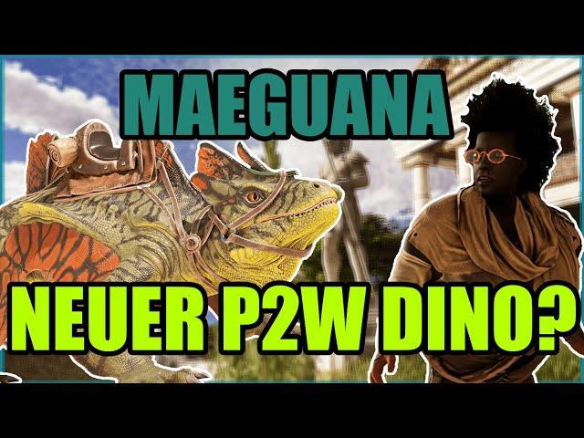 Maeguana Fullguide | Hat es Wildcard wieder getan? | ASA