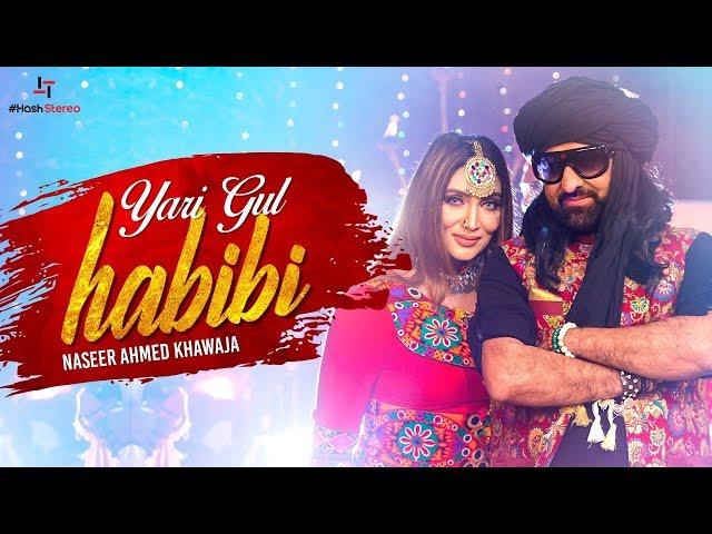 Yari Gul Habibi | Naseer Ahmed Khawaja | Official Music Video | Hash Stereo