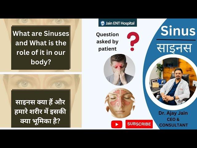 What are SINUS & their role in our body