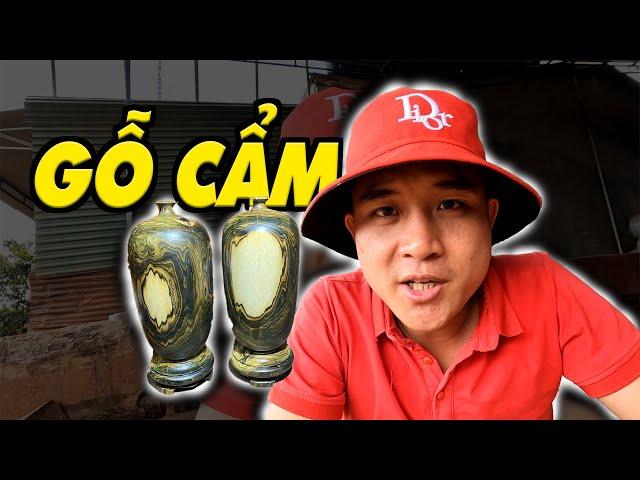 Gỗ cẩm thị xanh, Cách chơi và chọn gỗ cẩm thị tốt | Sơn Sập Gỗ