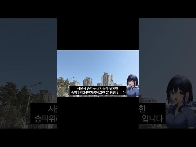 51% 폭락 서울시 송파구 아파트
