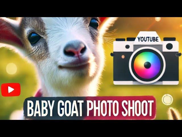 Baby goat photo shoot! Sort of , non-professional!