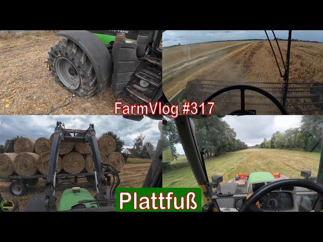 Farmvlog #317: Platten | 2. Schnitt | Hafer dreschen