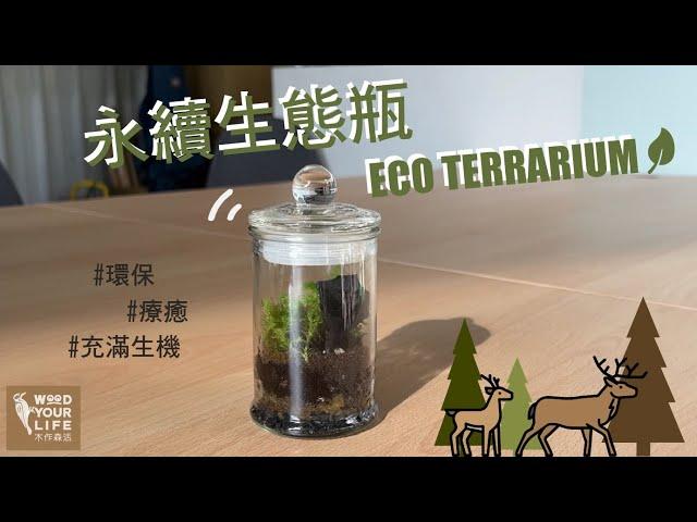 充滿生機の永續生態瓶Eco Terrarium | 木作森活