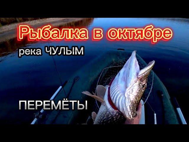 Вновь за дальний кордон на реку Чулым! Перемёты.