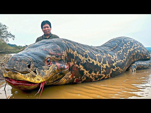 Os 20 Maiores Monstros Amazônicos Já Capturados Por Câmeras!