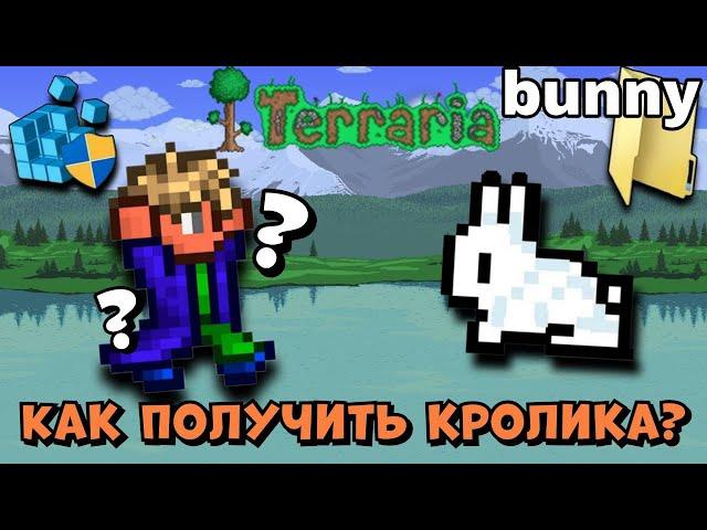 Terraria 1.4.4.9 - КАК ПОЛУЧИТЬ СЕКРЕТНОГО ПИТОМЦА КРОЛИКА | Террария 1.4