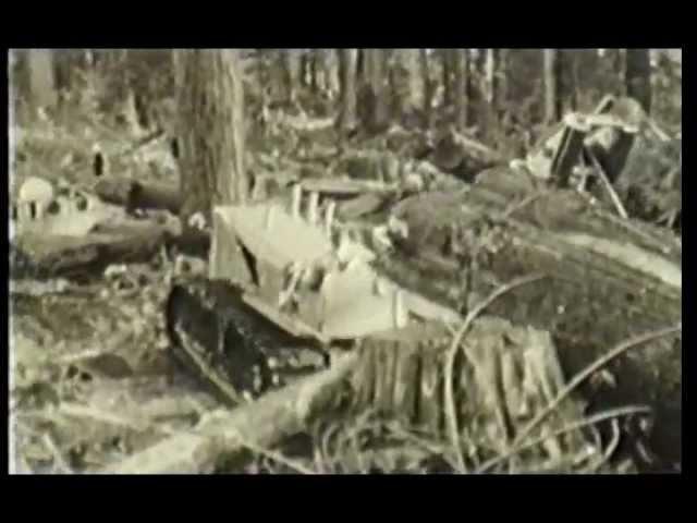 Allison Logging - Coastal Logging in the early 20th Century