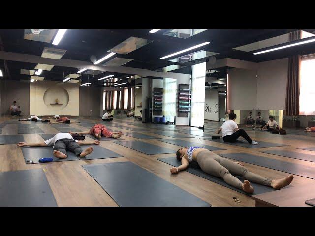 ANANDA YOGA CLASS| Morning Yoga| Beginner | Praveenyoga