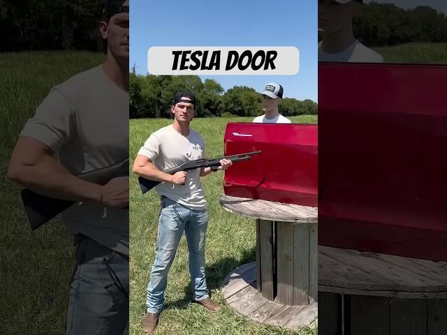 Tesla Model 3 vs 12 Gauge